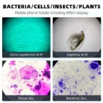 Monocular Microscope 40X‑2500X HD Inspection Laboratory Optical Microscope Tool Set For Schools & Home & Scientific Research - Image 2